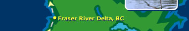 Frasier River Delta, BC